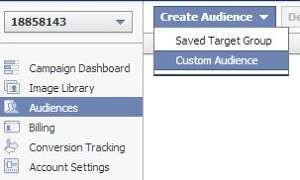 Power Editor 'Create Audience' drop-down with 'Custom Audience' selected
