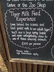 Chalkboard sign advertising a £100 Tiger Milk Feed Experience at a zoo