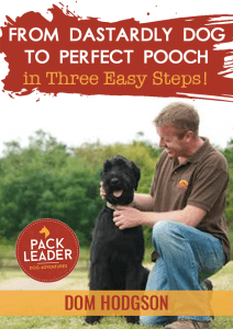 Cover of 'From Dastardly Dog to Perfect Pooch in Three Easy Steps' by Dom Hodgson