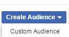 Facebook 'Create Audience' button with Custom Audience option