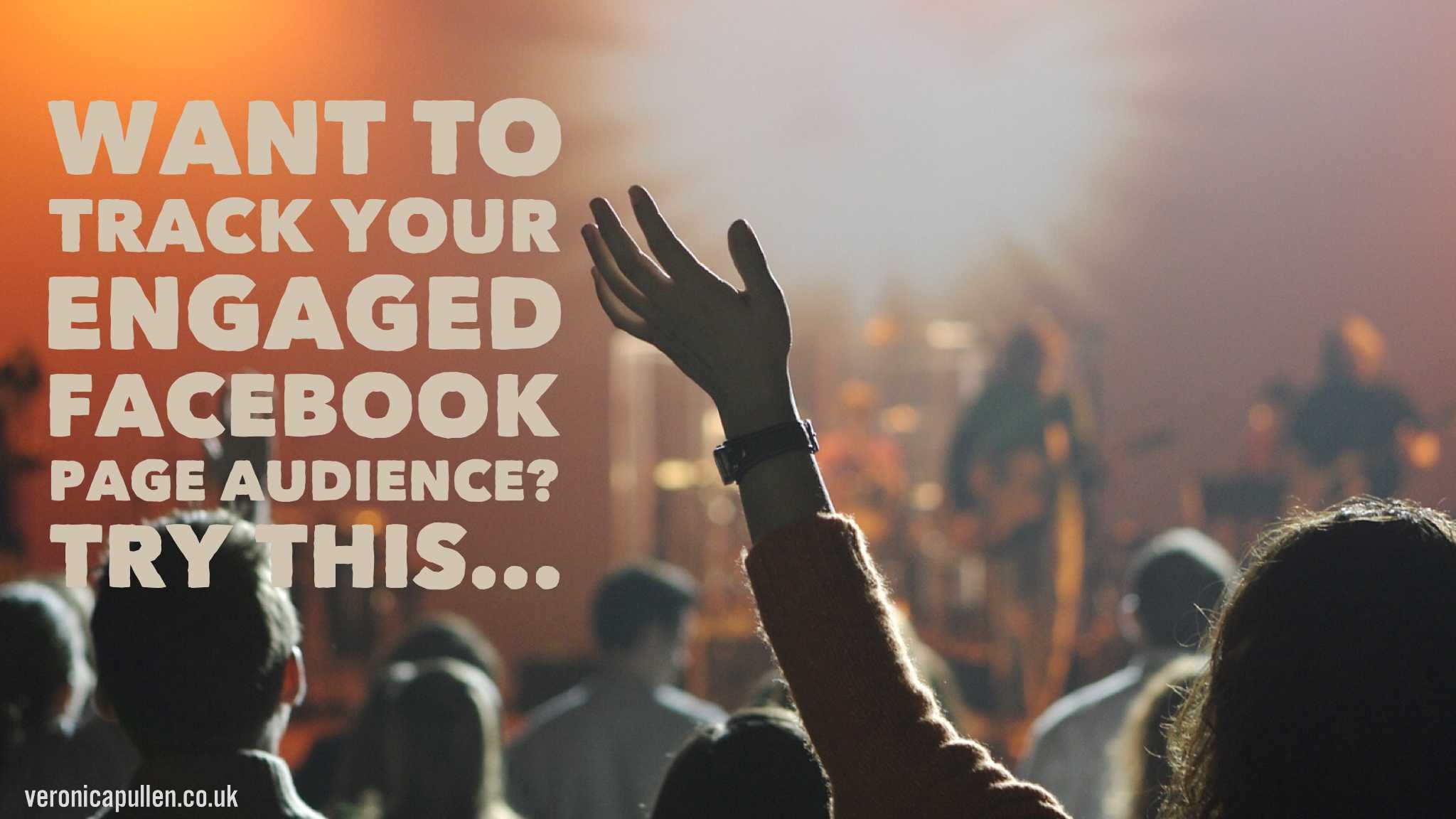 How to Track Your Engaged Facebook Page Audience for Laser Targeted Facebook Advertising