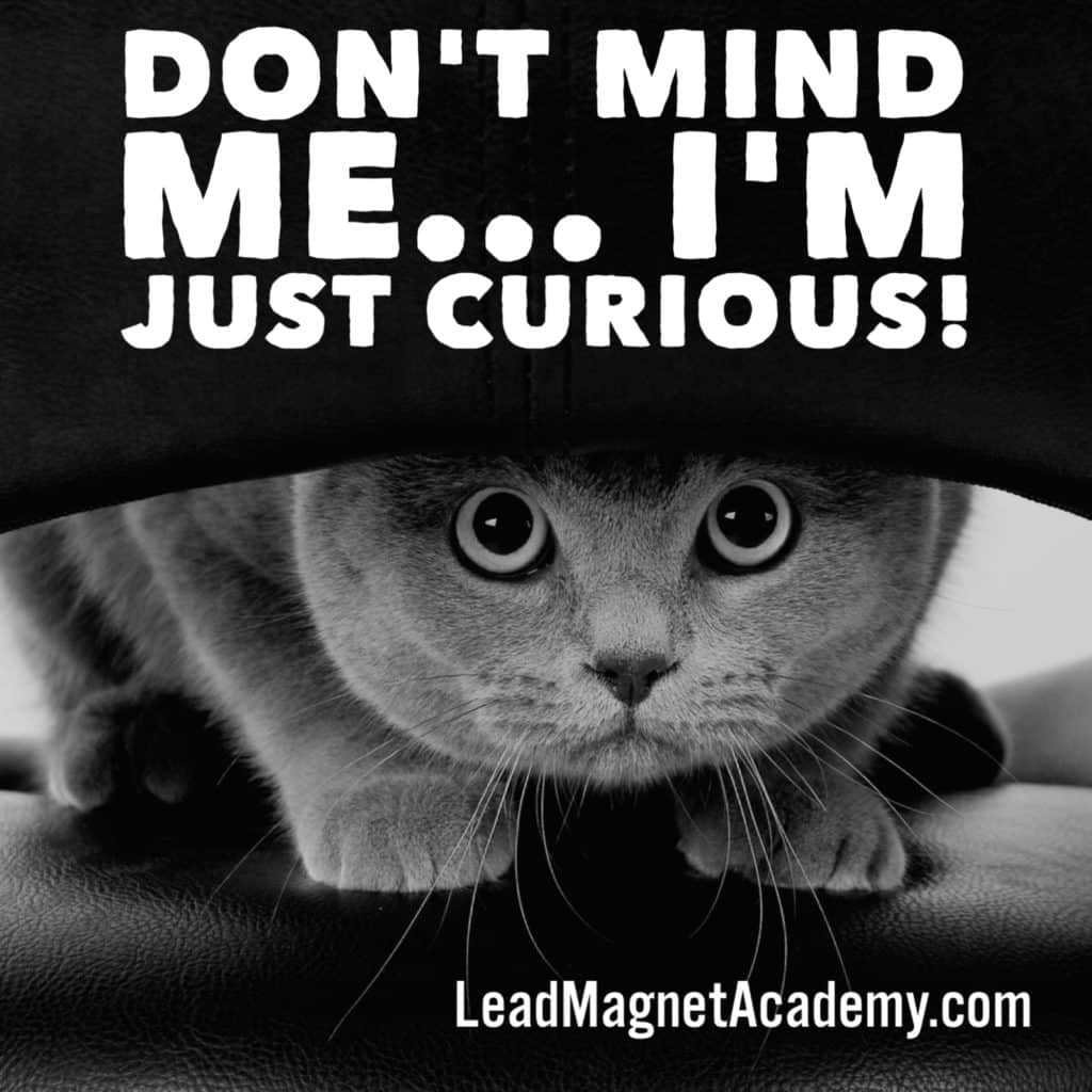 Kitten peering over a ledge: 'Don't mind me… I'm just curious!'