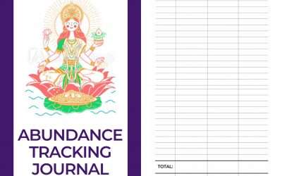 Do You Track Your Abundance?