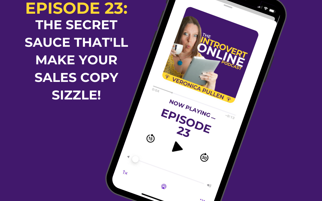 [Episode 23] The Secret Sauce to Make Your Promo Copy Sizzle!