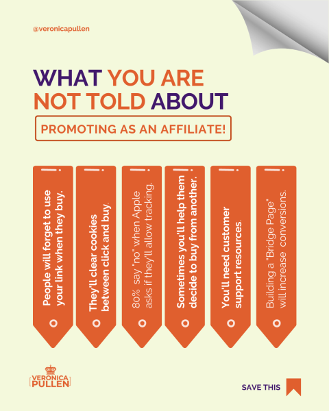 Graphic: 'What you are not told about promoting as an affiliate' with pennants